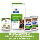 Hill's Prescription Diet Metabolic Pollo pienso para perros, , large image number null